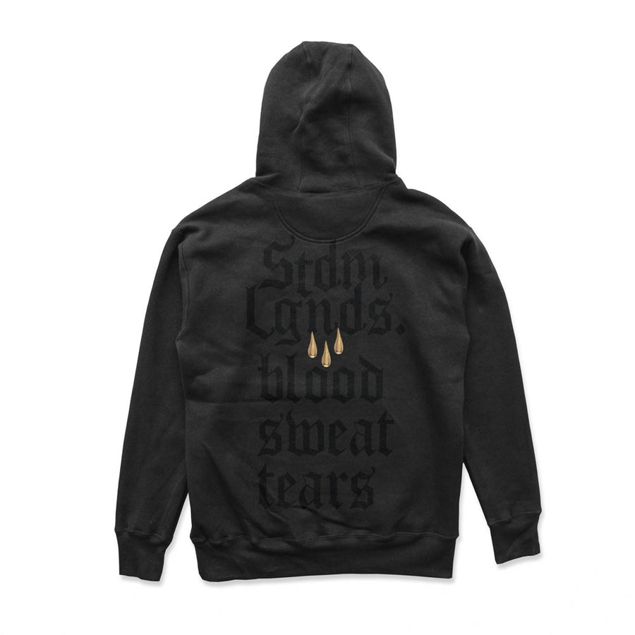 BLOOD SWEAT TEARS HOODIE